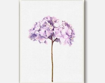 Hydrangea Flowers, Botanical Prints, Flower photography, Hydrangea Photo, Botanical Photo, Flowers Art, Floral Wall art, Living room decor