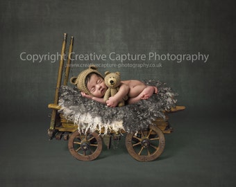 Newborn Digital backdrops / backgrounds / vintage cart / Girl or Boy
