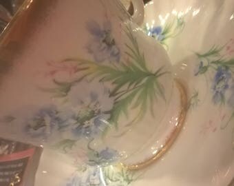 vintage tea cup and saucer by Royal Adderley