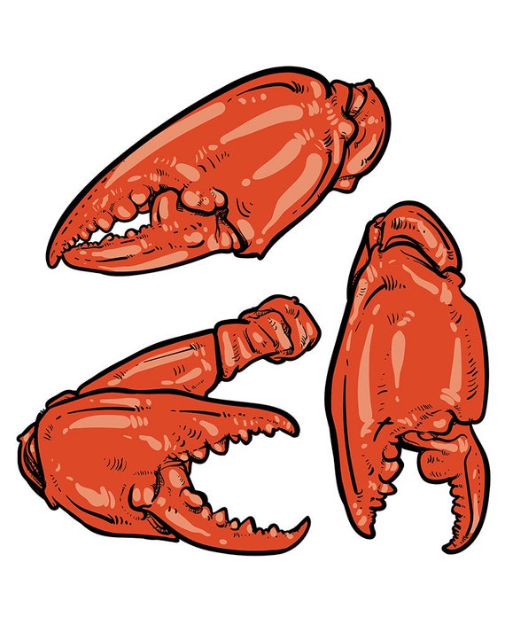 Download 80% Off Sale Hand drawn crab vector. Crab claws isolated on