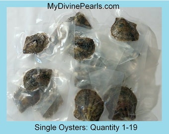 Akoya Oyster w/ Genuine Pearl! (Unopened /Vacuum Packed)