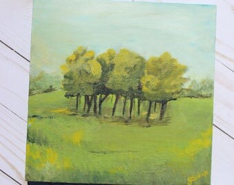 Big Meadows