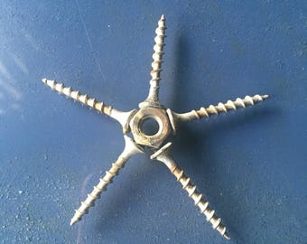Tiny Starfish
