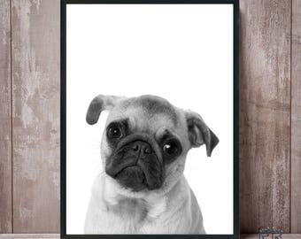 Pug Print, Dog Print, Black and White, Animal Print, Animal Decor, Nursery Decor, Dog Poster, Dog Photo, Kids room decor
