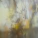 birdy otton