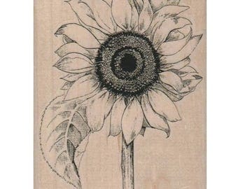 rubber stamp Sunflower flower stamps scrapbooking supplies no 1170 1107 large or small size garden flowers