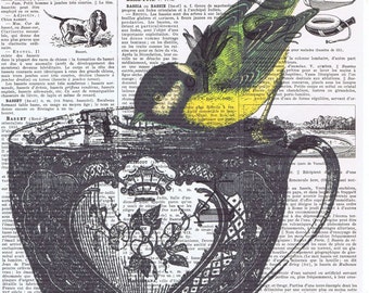 Bird,Tea Cup.birthday,collage.Gift. Antique Book Page Print.Vintage.Yellow.home decor,altered,handmade.eco.avian.feather.french.paris.sweet