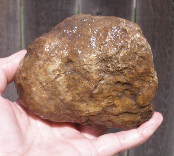 dinosaur poop rocks