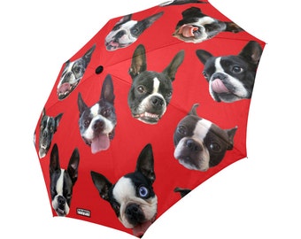 Boston Terrier Umbrella - dog umbrella - funny photos of boston terriers - custom background color