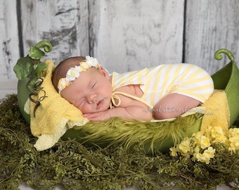 The Famous Photography Pea Pod Xtra Large (Discontinuing Limited amounts left)