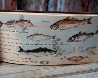 Muriel Foster's Fishing Diary