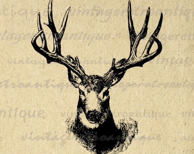 Antique Deer Printable Deer Digital Download Forest Animal Clipart Deer Antlers Graphic Image Vintage Clip Art Jpg Png Eps HQ 300dpi No.3575