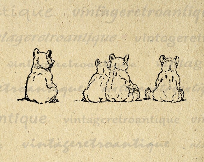 Bear Cubs Image Printable Download Bears Graphic Illustration Digital Vintage Clip Art Jpg Png Eps HQ 300dpi No.924