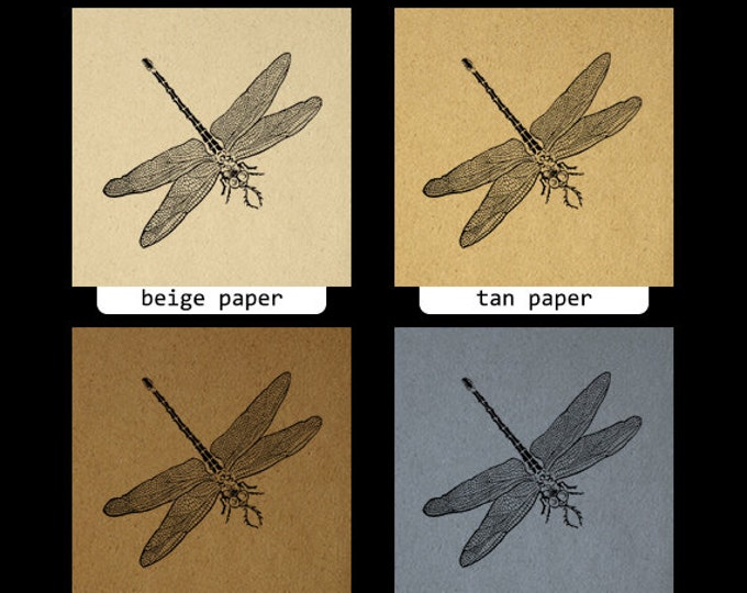 Digital Graphic Antique Dragonfly Printable Image Download Vintage Clip Art Jpg Png Eps HQ 300dpi No.618