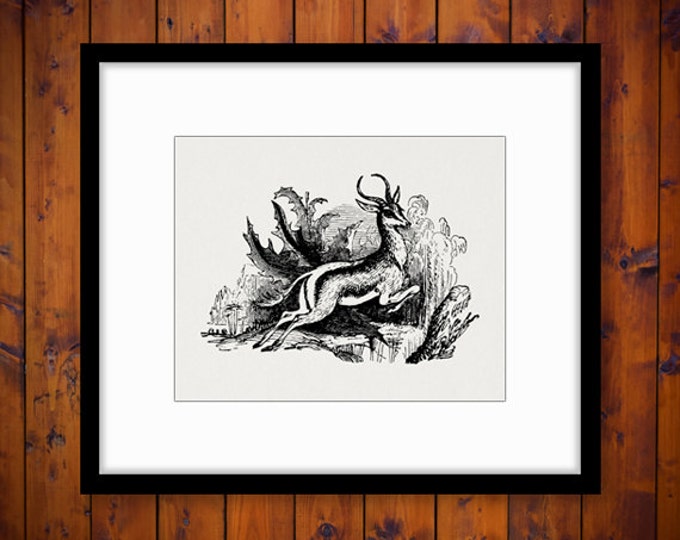 Printable Leaping Gazelle Digital Graphic Deer Image Download Vintage Clip Art for Transfers etc HQ 300dpi No.576