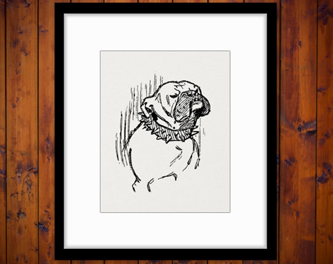 Printable Image Bulldog Dog Graphic Illustration Digital Download Vintage Clip Art Jpg Png Eps HQ 300dpi No.3150