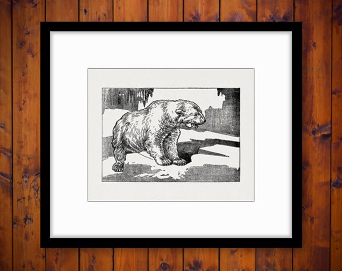 Polar Bear Digital Graphic Image Polar Bear Download Illustration Printable Vintage Clip Art Jpg Png Eps HQ 300dpi No.2578 Polar Bear Digital Graphic Image Polar Bear Download Illustration Printable Vintage Clip Art Jpg Png Eps HQ 300dpi No.2578