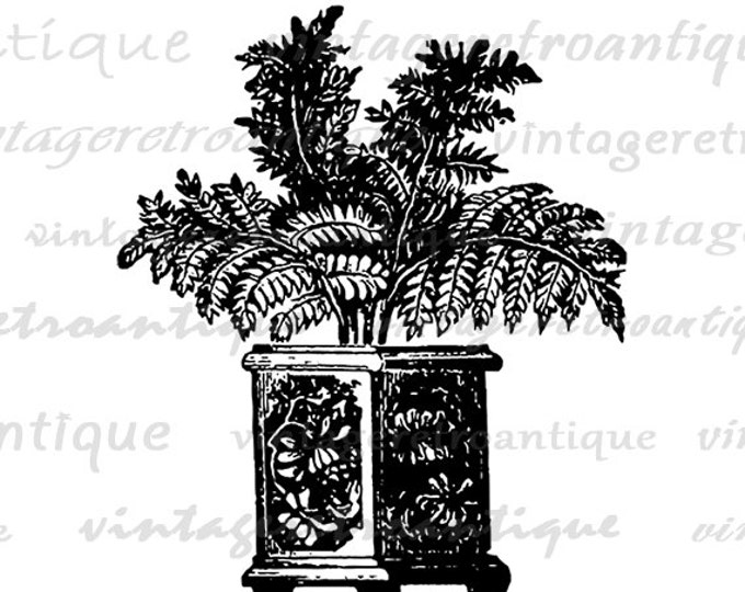 Ornate Plant Graphic Printable Download Digital Image Illustration Vintage Clip Art Jpg Png Eps HQ 300dpi No.2238