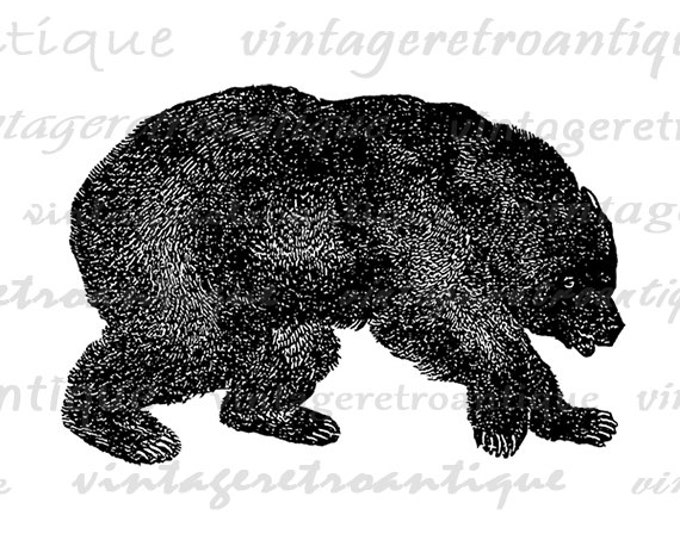 Digital Printable Grizzly Bear Graphic Download Image Illustration Vintage Clip Art Jpg Png Eps HQ 300dpi No.4082