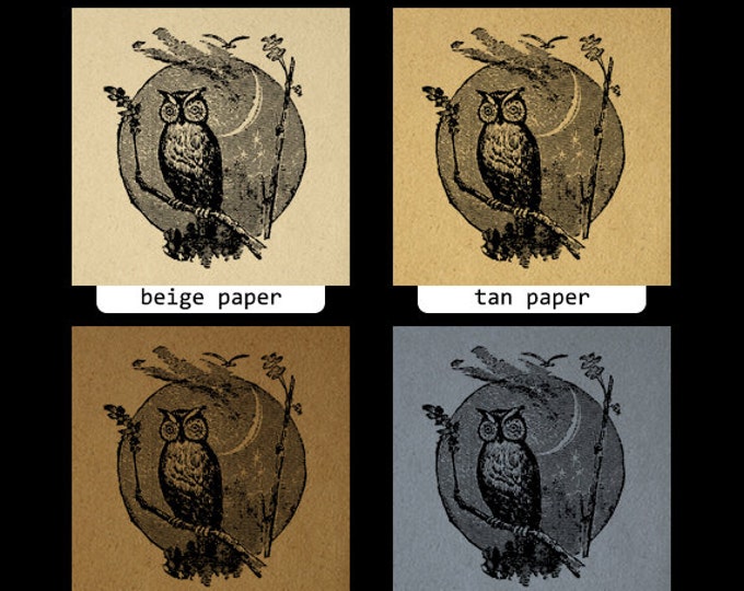 Owl Image Digital Download Owl with Moon Graphic Printable Artwork Vintage Clip Art Jpg Png Eps HQ 300dpi No.4560