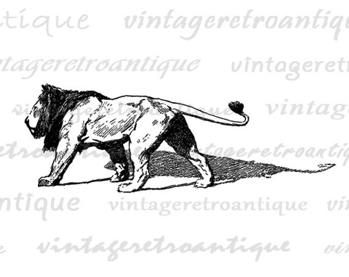 Digital Antique Lion Image Graphic Illustration Printable Download Vintage Clip Art Jpg Png Eps HQ 300dpi No.3322