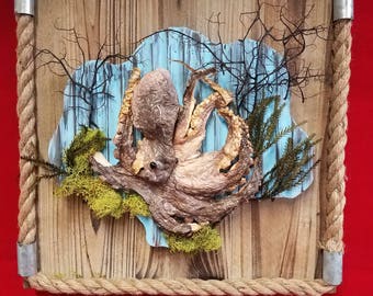 Taxidermy Preserved Real Octopus Yacht Art Wall Mounting-Sea Fan-Nautical Art