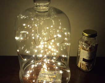 16.5-foot (5m), 100 Fairy Lights (String Lights) on a copper wire strand. Choose battery-operated, solar, or plug-in with a timer.