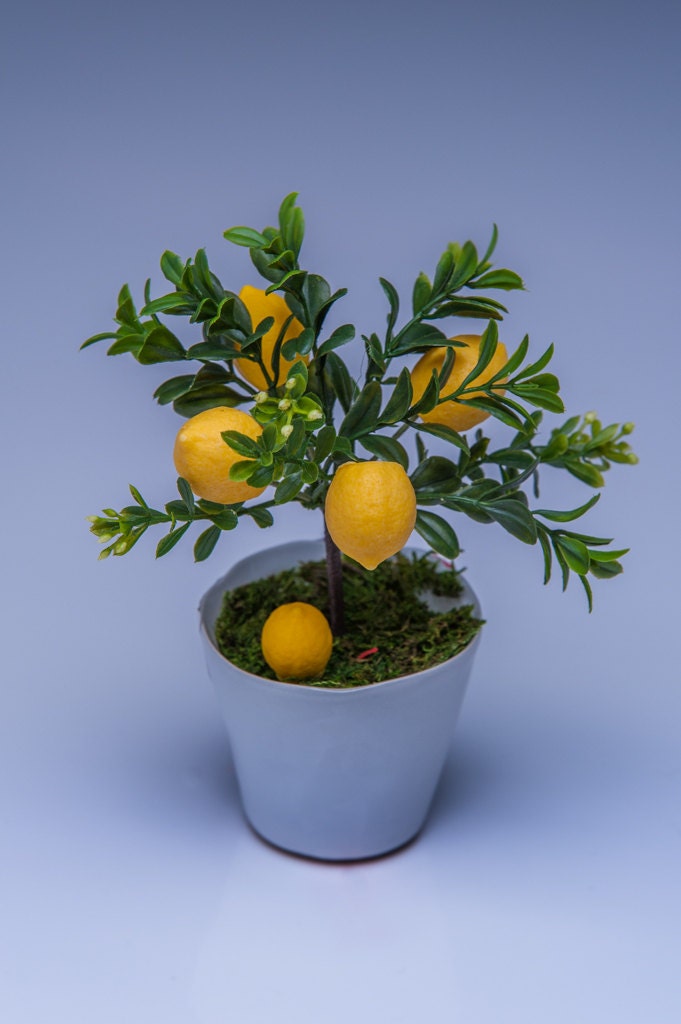 Scented Mini Lemon Tree air freshener Soap Bouquet Give