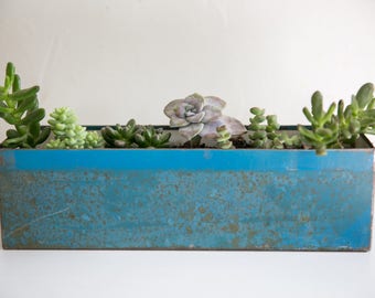 Blue metal box with succulents