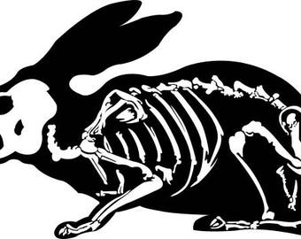 Rabbit skeleton | Etsy