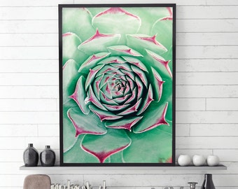 Succulent Wall Art succulent wall | etsy Succulent Wall Art succulent wall | etsy