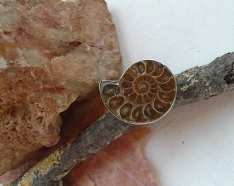 Ammonite fossil, ring, Ø 17.75 mm, adjustable, silver plated