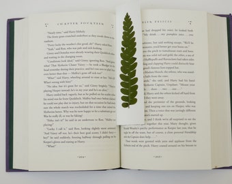 Real pressed Cinnamon fern bookmark - pressed botanical placeholder