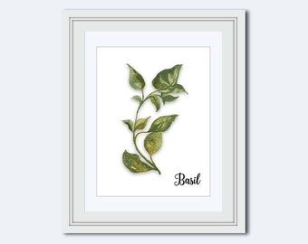 Basil print - Basil printable - Kitchen printable - Spice print - art for kitchen - kitchen wall decor - kitchen wall art - Printable Art