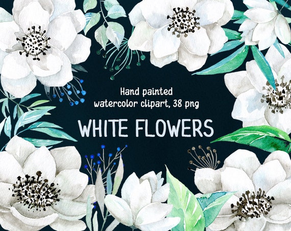 Watercolor Floral Clipart: 38 White Flowers Aquarelle Digital