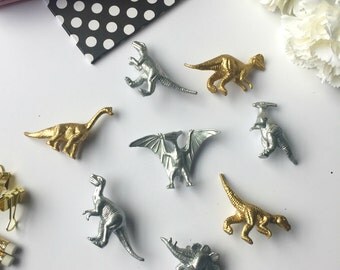 Dinosaur Fridge Magnets / Kids Refrigerator Magnet / Custom Gift or Party Favor / Gift Idea for Boyfriend