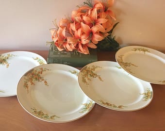 Taylor, Smith and Taylor "Acacia" Dinner Plate - Set of 4