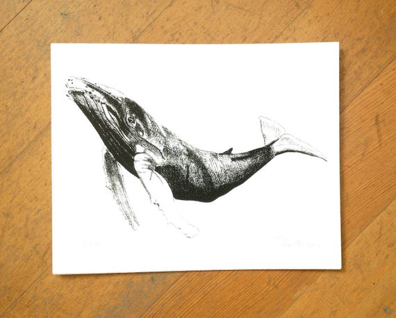 Humpback whale design hand screen printed on 100% cotton paper