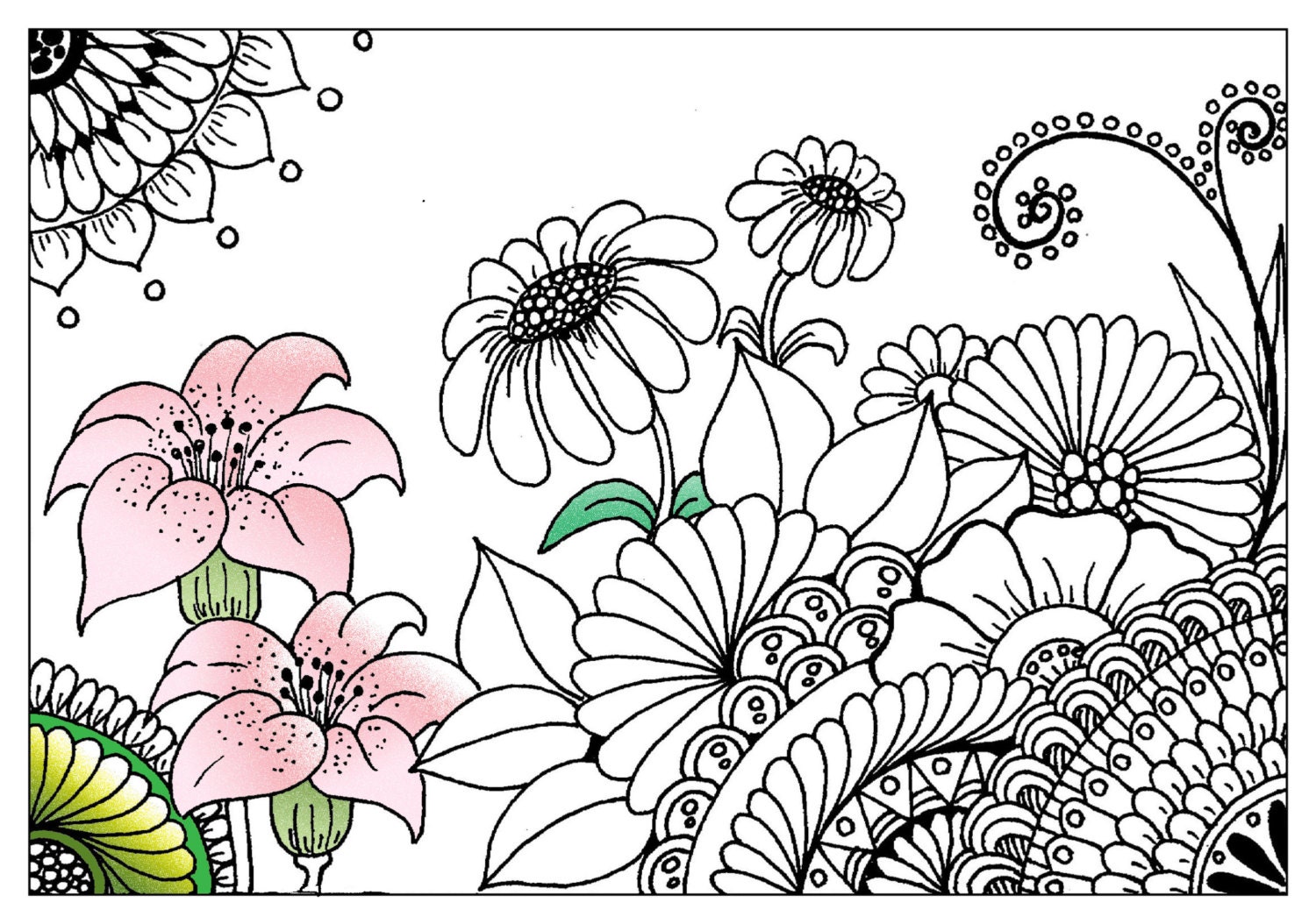 Download Blooming flowers Adult Coloring pages Zentangle Art Pen and