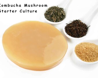 Kombucha Starter Kit - Guaranteed