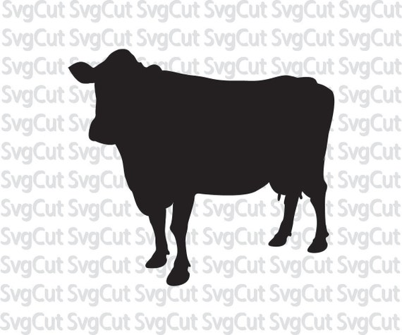 Cow SVG Farm animal cow Digital monograms Digital clipart