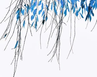 Botanical Bliss - Fine Art photography