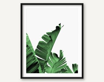 Palm leaves | Etsy