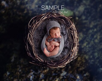 bird nest newborn digital background/ newborn digital backdrop/instant download