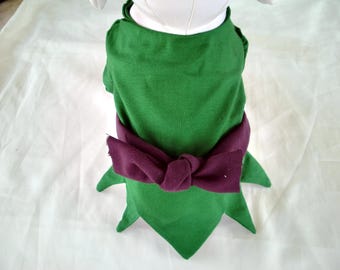 Dogs, Cats, Pets PETER PAN Costume
