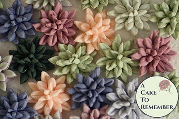 12 Small Edible Succulents For Fall Rustic Wedding Cupcake 12 Small Edible Succulents For Fall Rustic Wedding Cupcake