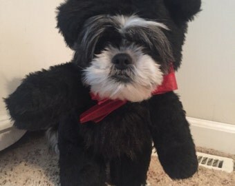Adorable all Black Colored Teddy Bear Dog Halloween Costume