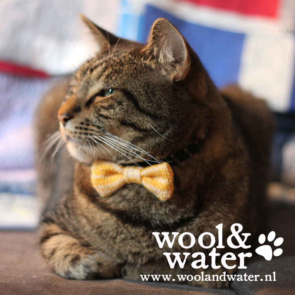 Cat Bow Tie 6 colours available Handmade & Limited Edition