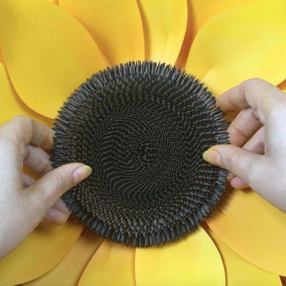 Download DIY Sunflower, Paper Flower Template for Silhouette or ...