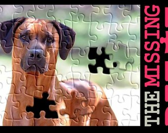 Custom Pet Portrait Puzzle / Pet Lover Gift Idea / Eco Friendly Gift Idea / Dog Lover / Cat Lover / Personalized Puzzle
